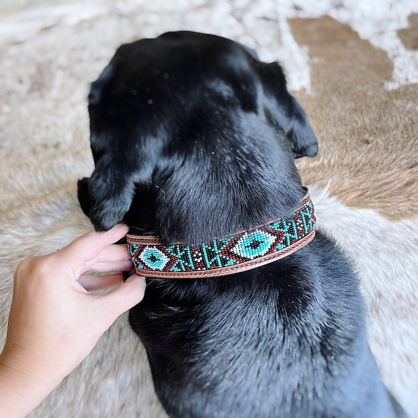 Aztec Dog Collars Buckin' Cowgirl